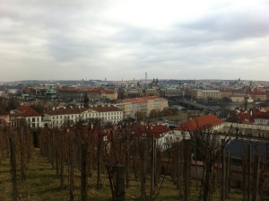 Prague vineyards